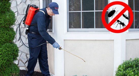 Kırıkkale Hamam Böceği İlaçlama böcek ilaçlama ve haşere kontrolü — ilaclama-tr.com